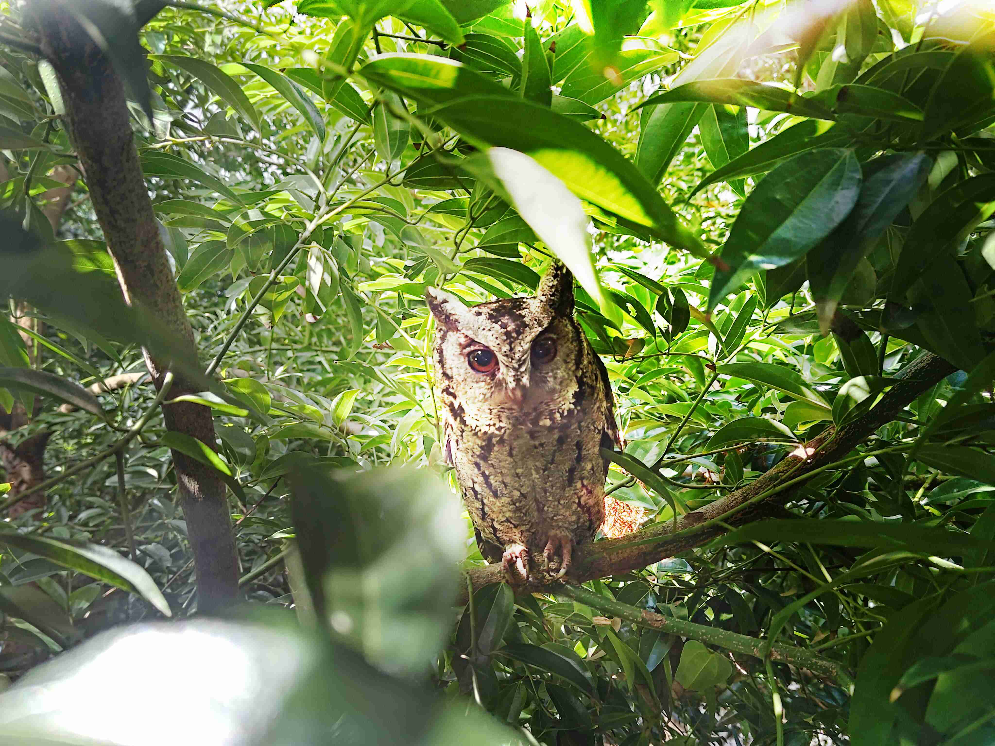 2468BET致力提倡净零绿生活，，，16年以来在全球各厂区植树逾百万棵，，，造就各厂区树木蔚然成林，，犹如森林工厂，，，，成为许多生物的栖息地